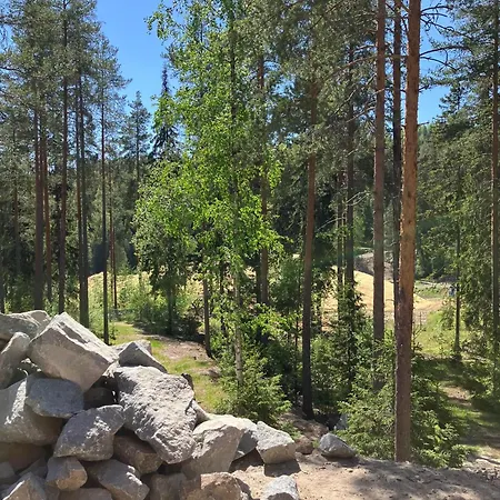 Havu Laajavuori - Luksushuvila Keskellae Suomalaista Metsaeae, * Jyvaskyla