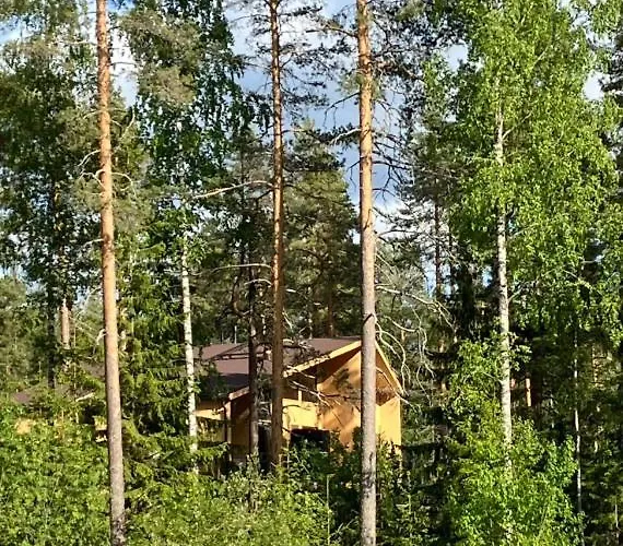 Havu Laajavuori - Luksushuvila Keskellae Suomalaista Metsaeae, Jyvaskyla