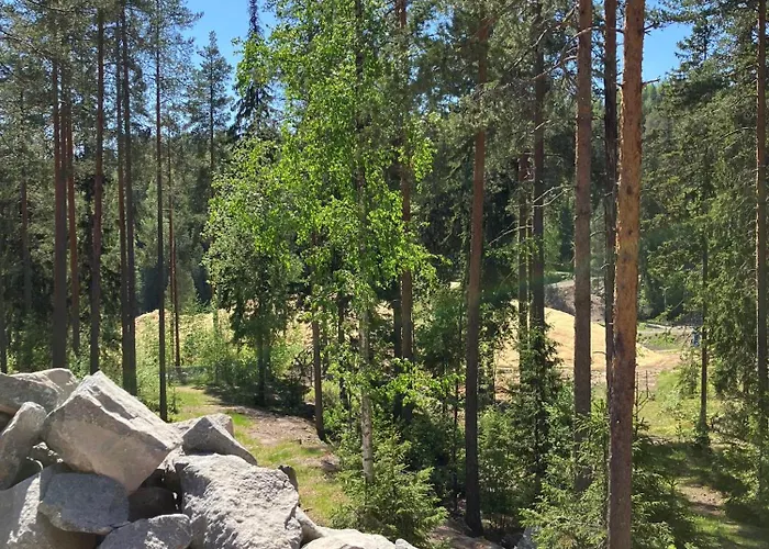 Havu Laajavuori - Luksushuvila Keskellae Suomalaista Metsaeae, * Jyvaskyla